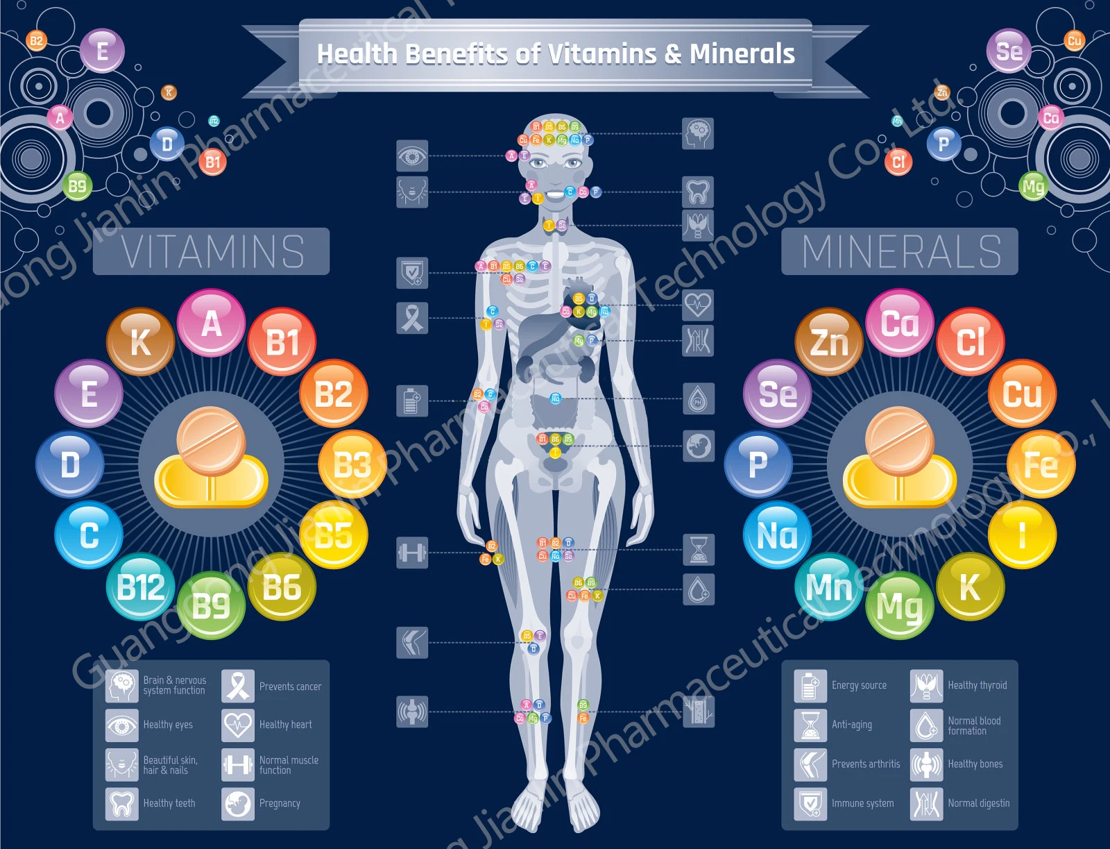 OEM Vitamin Minerals Supplement Capsules For Immune System Multivitamin Capsules