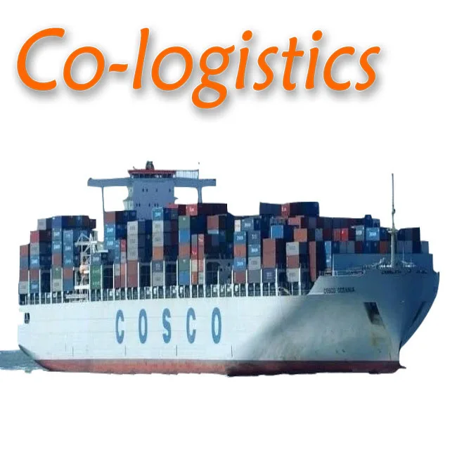 HOT  Fast delivery sea freight shipping agent with DDP service  from China to West Europe