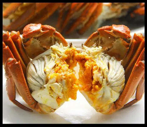Live Fresh Water Crab export to Dubai, Hongkong,Siingapore, Korea and Japan.