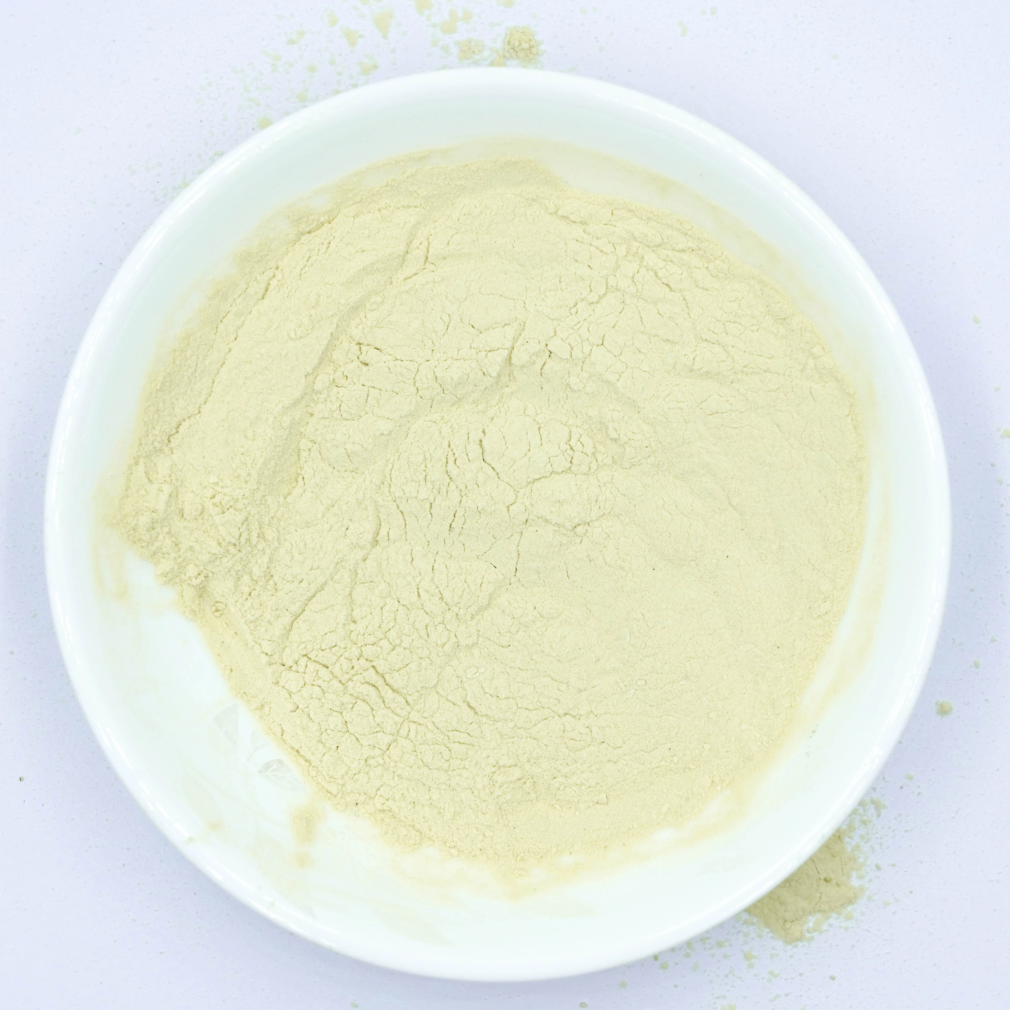 Aloin Manufacturer Supply 100% Aloe Vera Extract Aloe Vera Extract Powder/plant extract