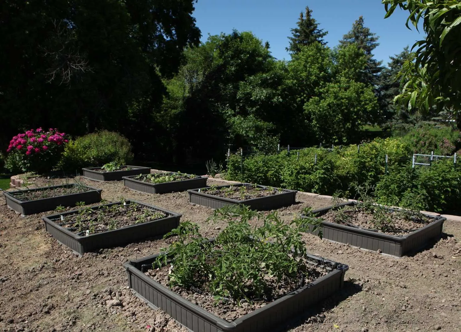 Hot Selling Plastic Garden Planter Box for outdoor