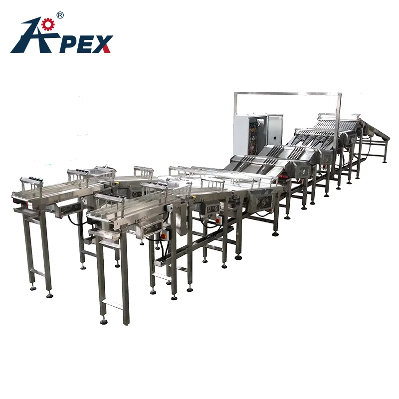 High Speed Stable Running Cookie Automatic Feeder Biscuit Conveyor Belt For Sale