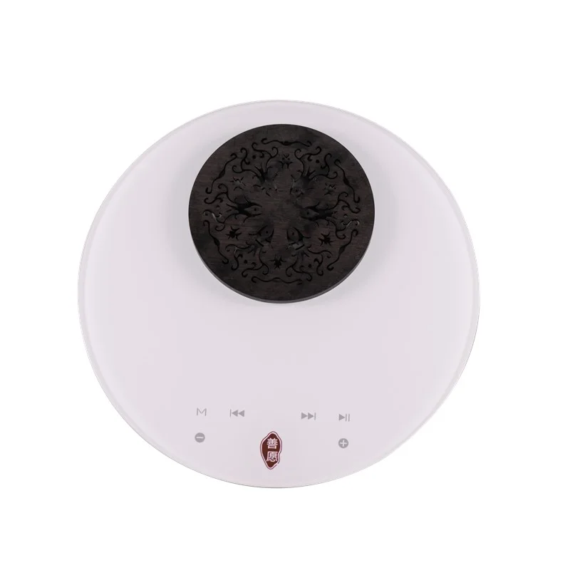 SY919 White High Fidelity Bluetooths Wireless Speakers with Digital Touch Keys, TF Card Music Player and Type C Charging Cable
