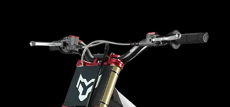 CQHZJ Wholesale 20kw Motor Electric Off-road Vehicles 72v Electric Motorcycle Snow Leopard E T 600