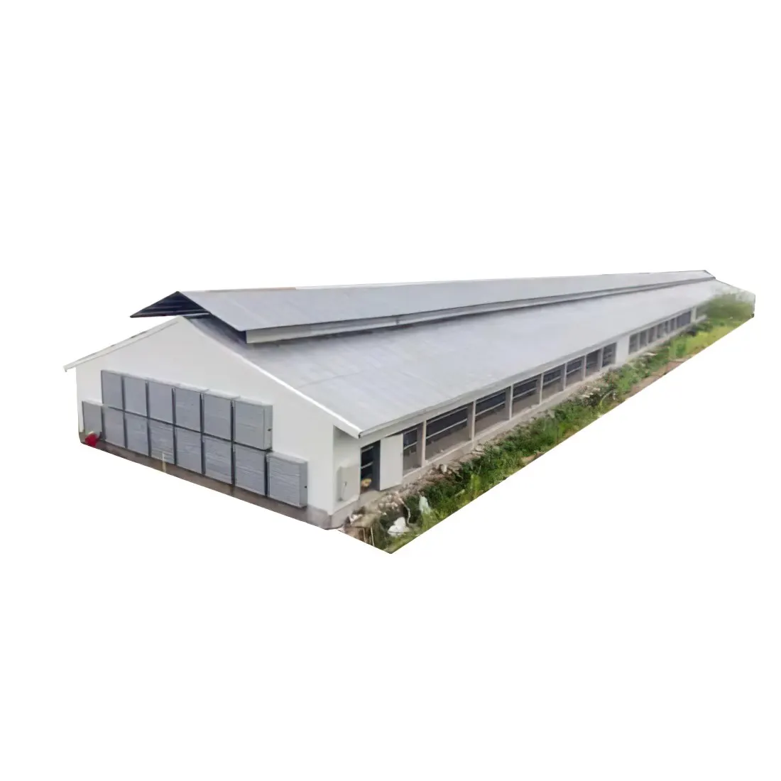 Poultry Farm Design Layout of Layer Chicken Farm  Business Plan Steel Structure Building for Kenya