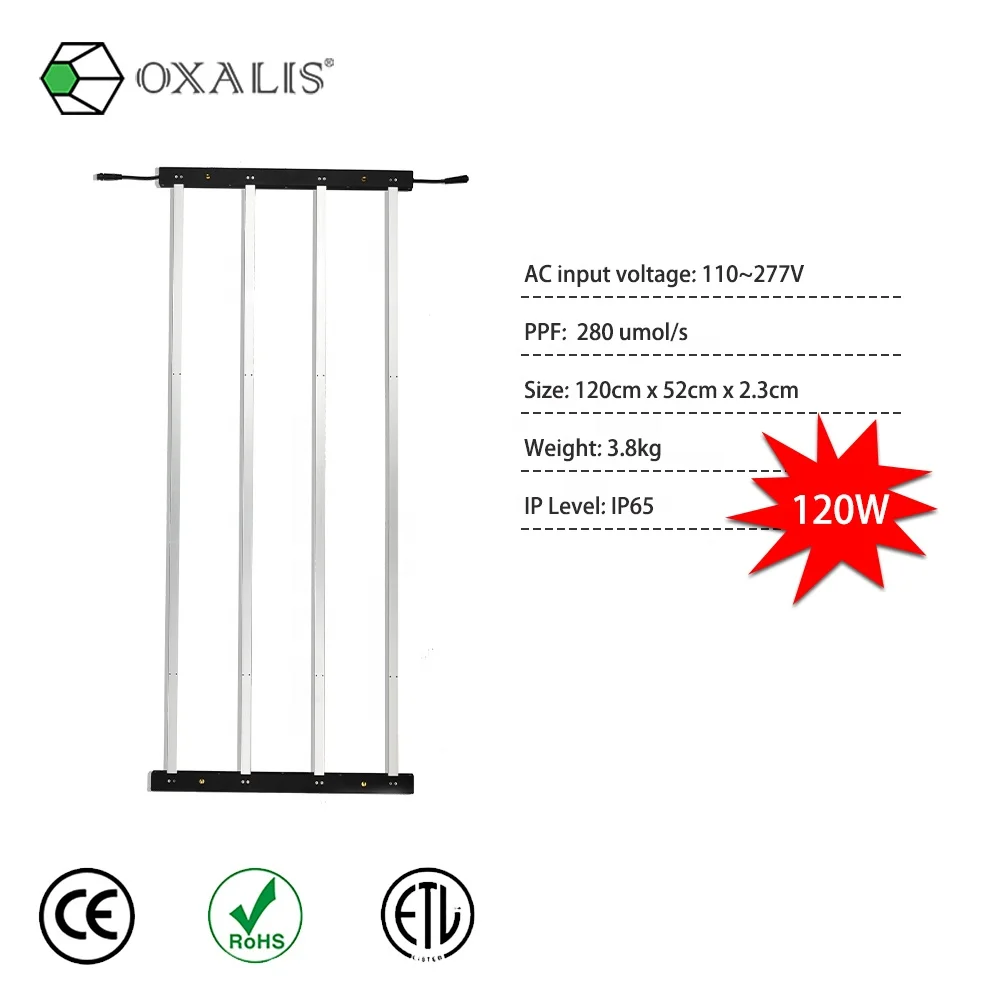 
New Design Led Grow light Instead of T5 Veg Seedling Plant Growing for Vegetables Tomatoes Lettuce 