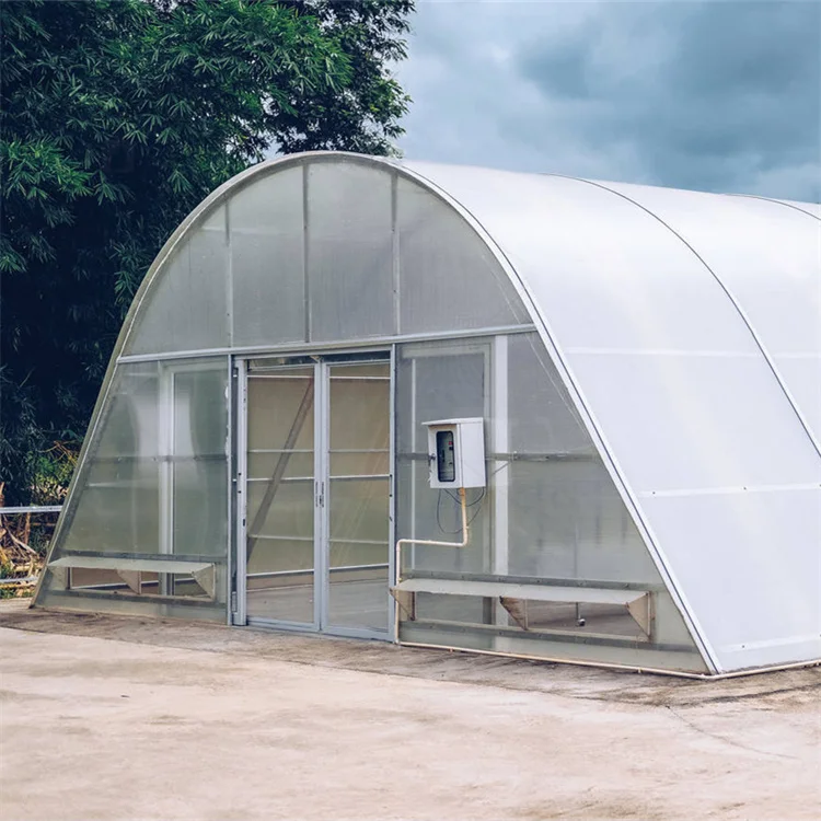 Drying chilli solar dry greenhouse for vegetables and fruits