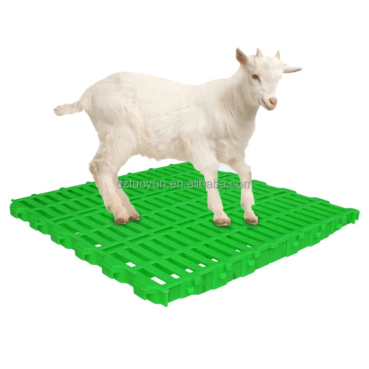 TUOYUN factory supply low price good quality goat flooring plastic slat floor