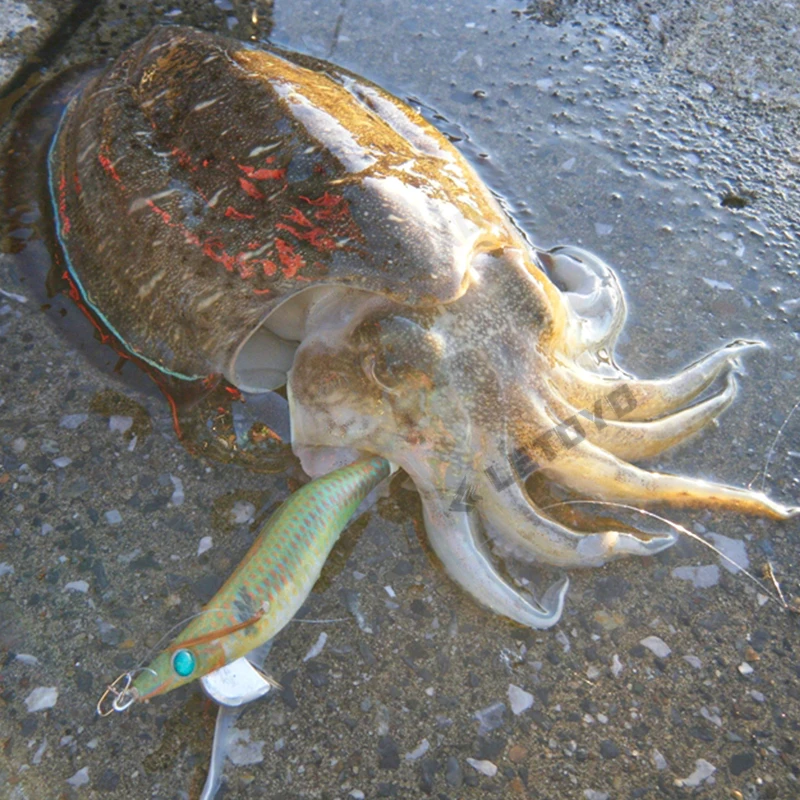 100# Original YAMASHITA squid jigs EGI SUTTE R NDX series luminous squid jigs hook japanese