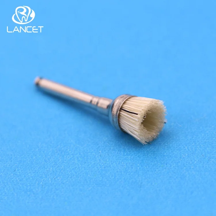 2021 Dental Polishing Brush bristle Polishing brushes  for sale