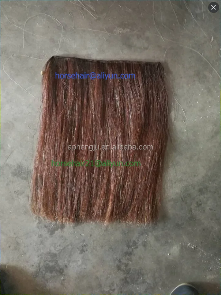 Natural white horse mane hair (horse mane extension) wefts,Forelock hairs