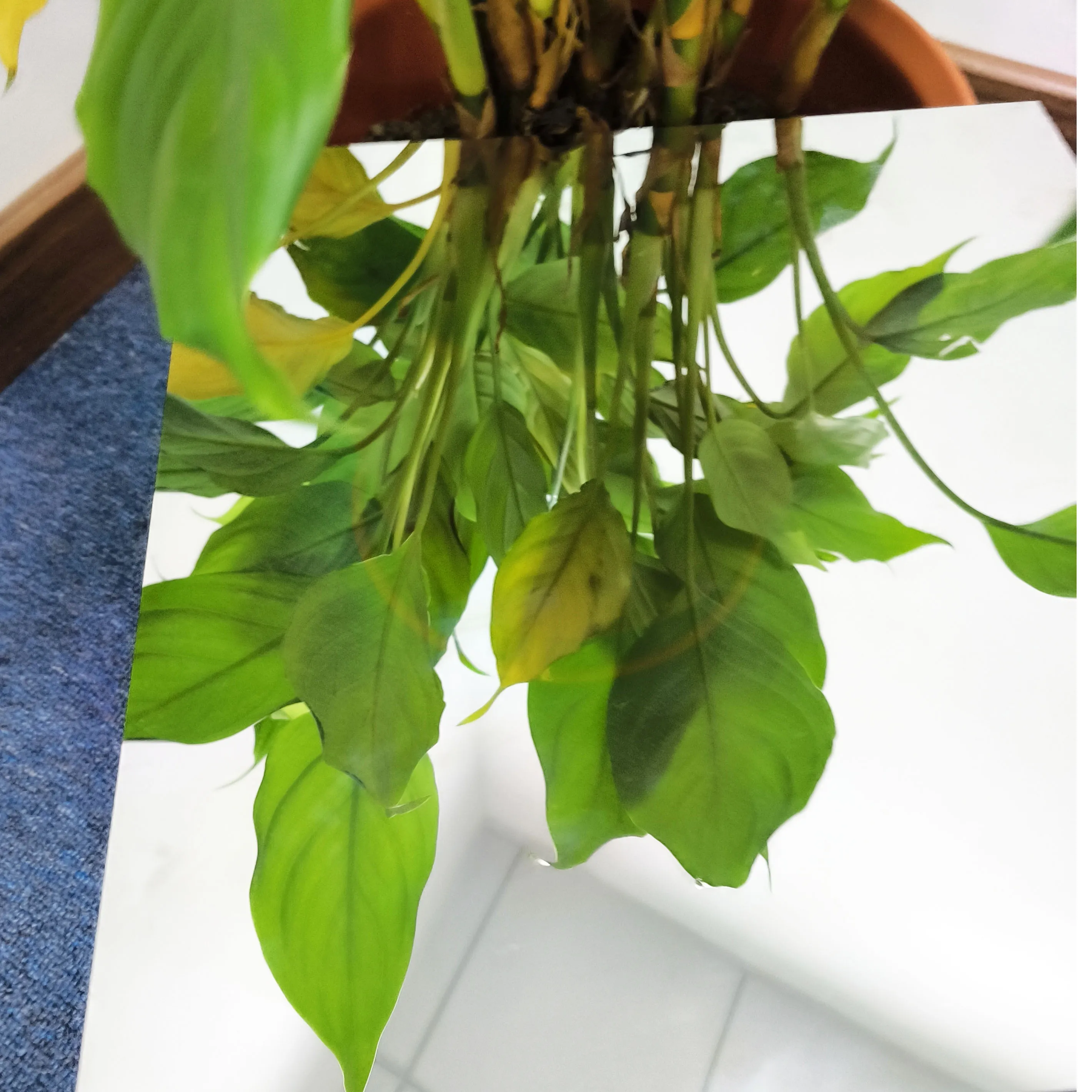 Hot Sale Mirror Display Glass Wall Mounted Transmittance 33% Touch Screen Led Commercial Advertising Display Screens