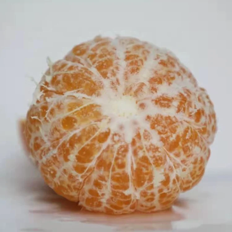 
Factory direct supply of citrus bulk fresh natural sweet fruit citrus price 