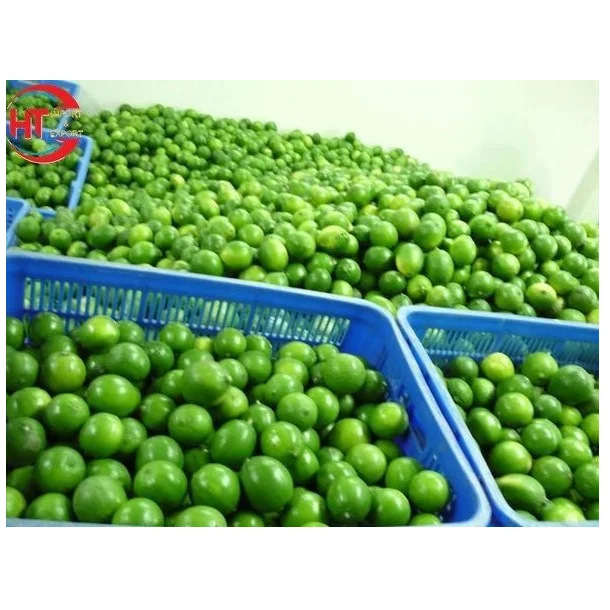 Wholesale Top Quality Fresh VIETNAMESE Green Lime/ Lemon cheapest price wholesale/ Lemon Fresh Lime in Bulk