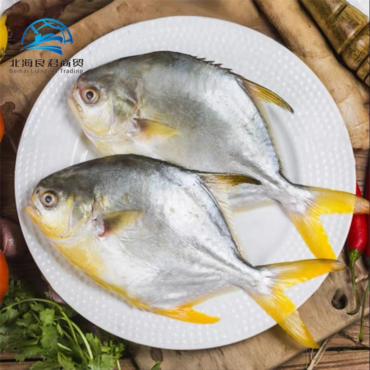 Chinese low price high quality delicious seafood frozen whole live Golden Pomfret fish for sale