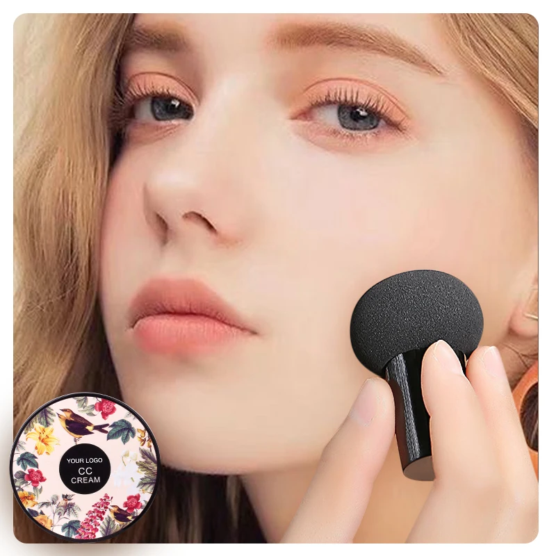wholesale High-quality custom long-lasting docile moisturizing mushroom head air cushion foundation BB cream CC cream
