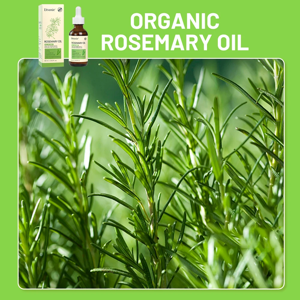 Organic Rosemary Oil Hair Growth Skin Soothing Acne Remover Body Care Massage Relax Oil Products Rosemary Oil for Spa Body Care