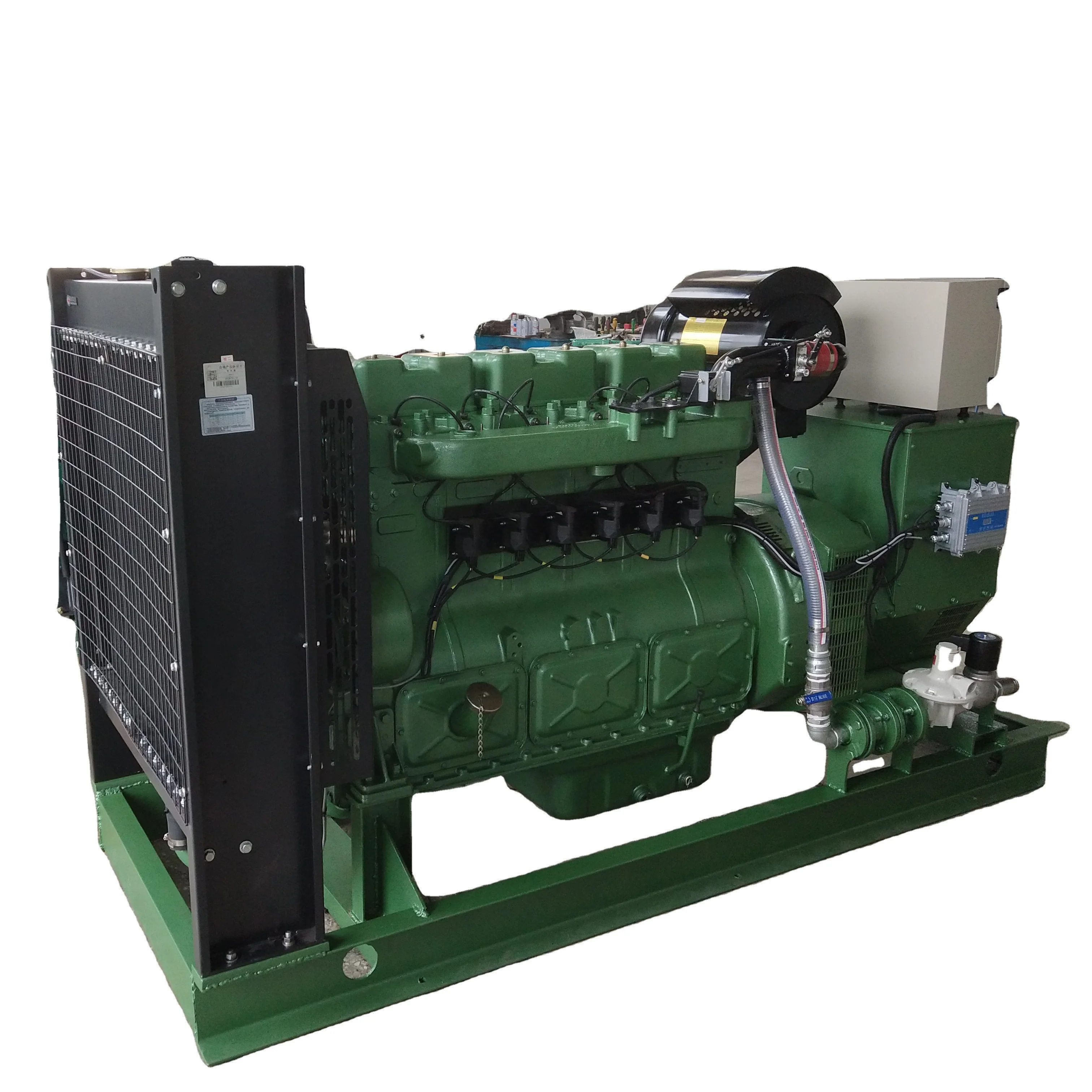 80KW biogas generator set