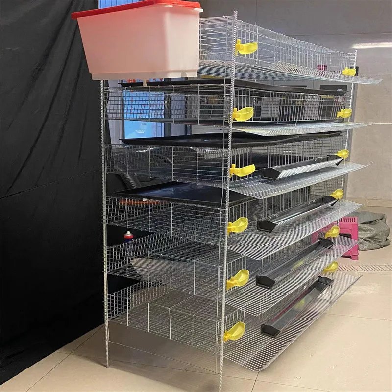 Poultry Quail Layer Cages for Quail Birds Farming Cage for Quail Hens for Egg Production