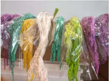 2022 Yunnan wholesale real natural touch flower preserved foliages amaranthus preserved flower