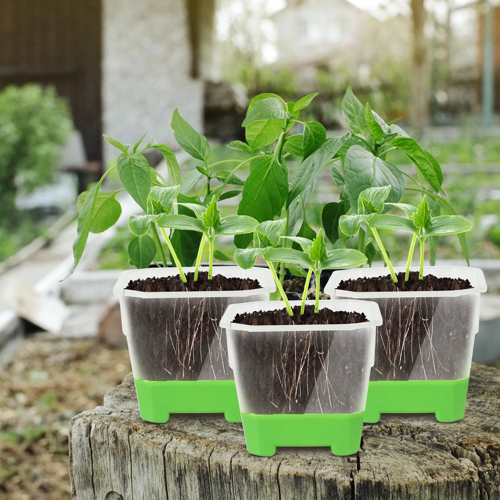 YML Factory Wholesale New Silicone square Transparent Plastic Soft  Nursery Pot Garden Reusable Seed Pot  in Stock