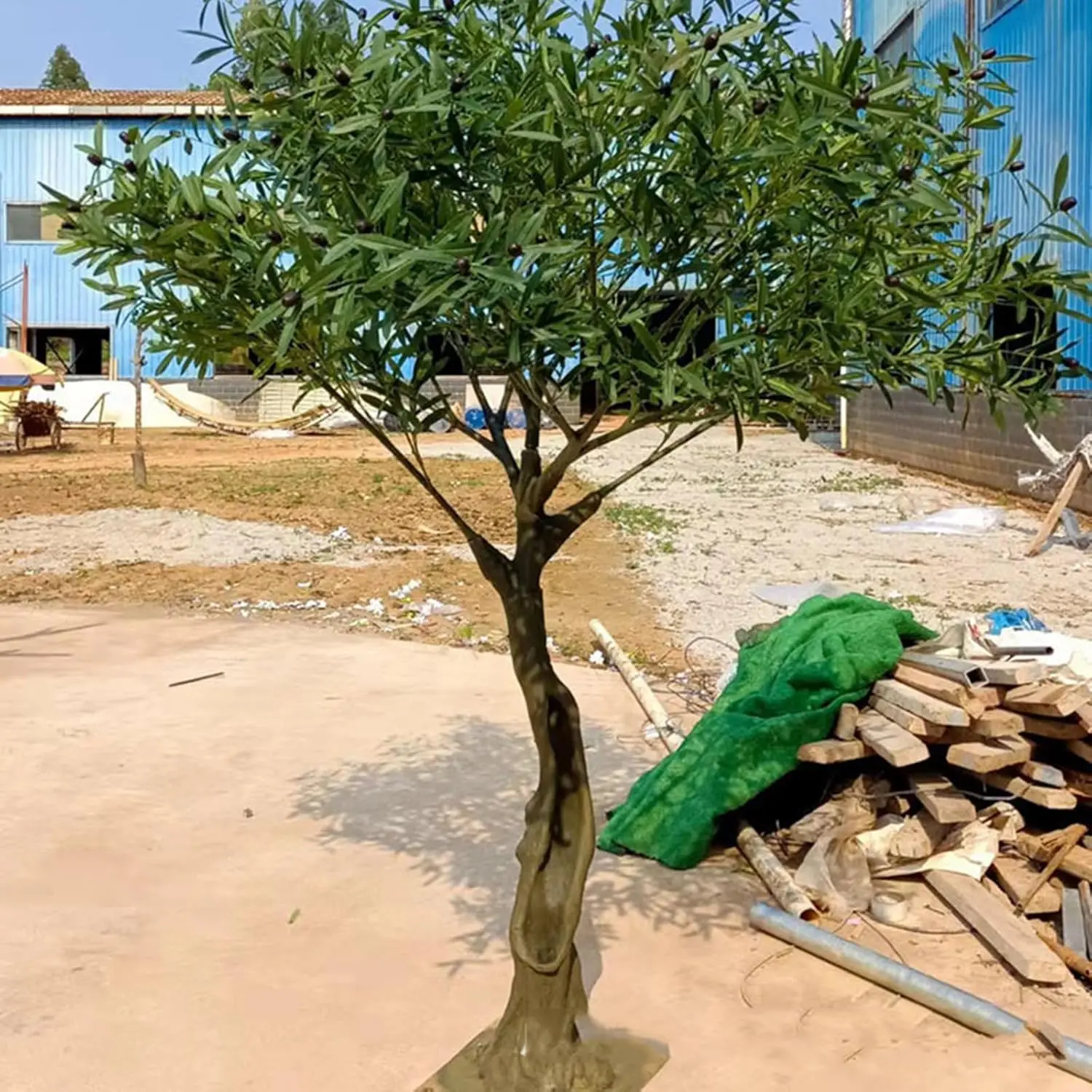 Custom High Artificial Olive Tree Made From Fiberglass Faux Wood Trunk With Plastic Branch Material fake Olive Tree For Cafe