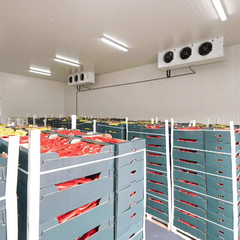 Hot Selling Low Temperature Modular Cooler Blast Freezer Room for Cucumber Tomato or Other Vegetables