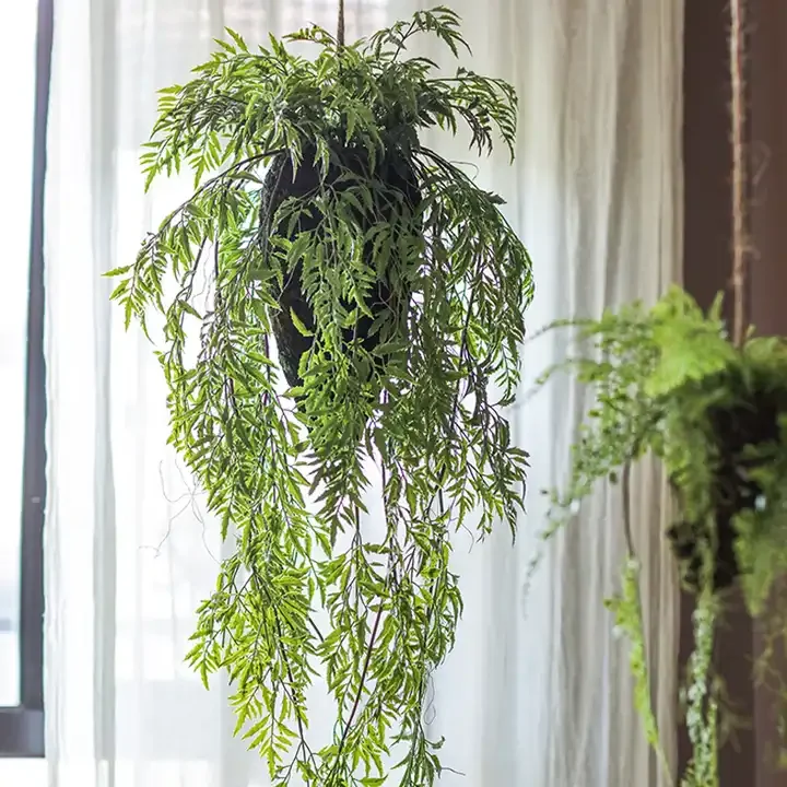 Simulation ferns plants in the air hanging ball hanging decoration green plants window decoration