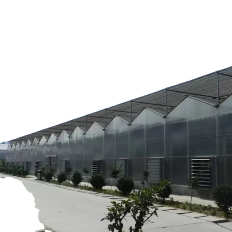 Sainpolyvictorian tomato outil greenhouse kit solar smart luxury industrial polycarbonate greenhouses vegetable green farm house