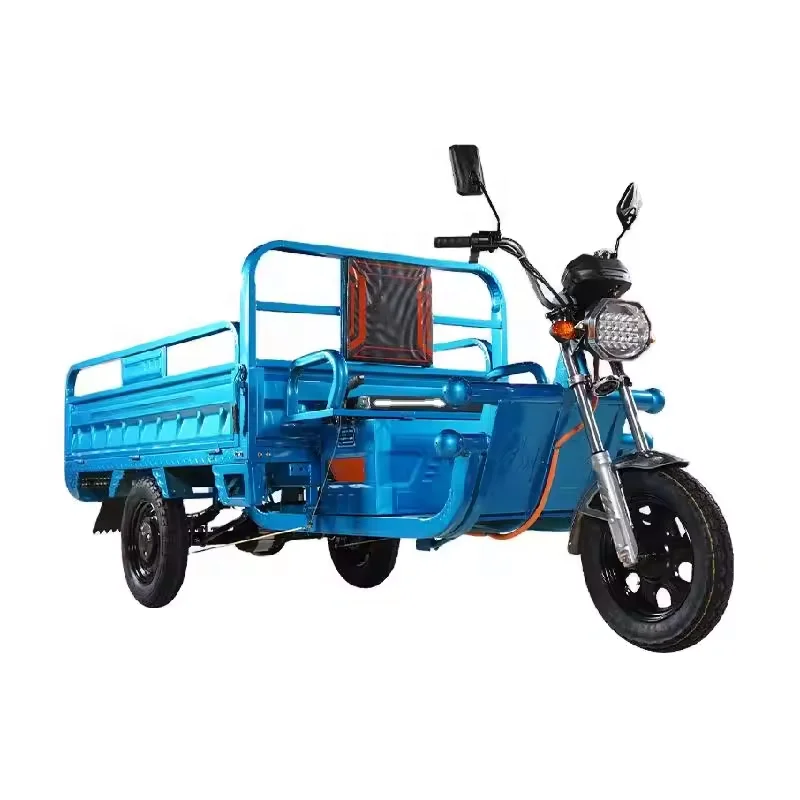 Powerful 1000w electric tricycle cargo truck for adults