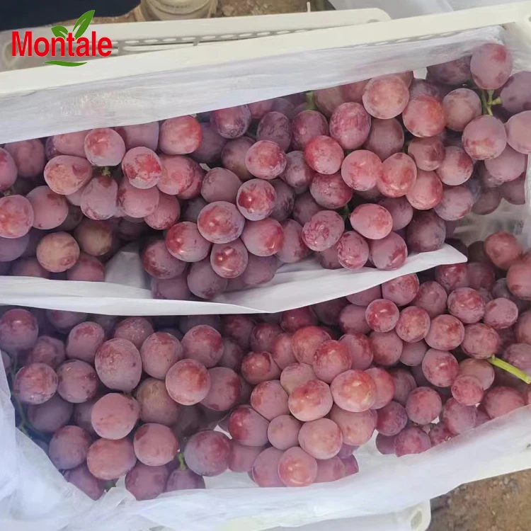 Chinese fresh red purple global grapes from Xinjiang