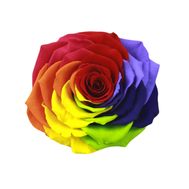 Wholesale AA Grade A Premium Quality 9-10cm Rainbow Preserved Rose Head