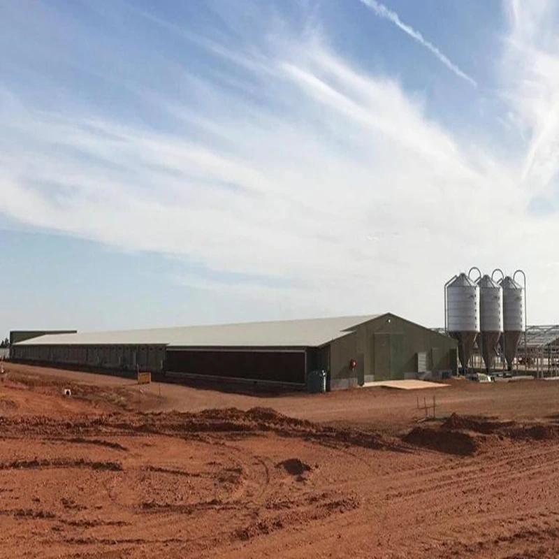 chicken poultry farm structures design/ broiler poultry farm shed design