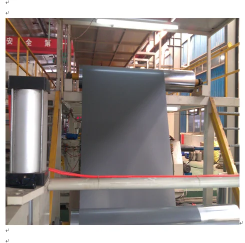Color Coated Aluminum Sheet Rolls