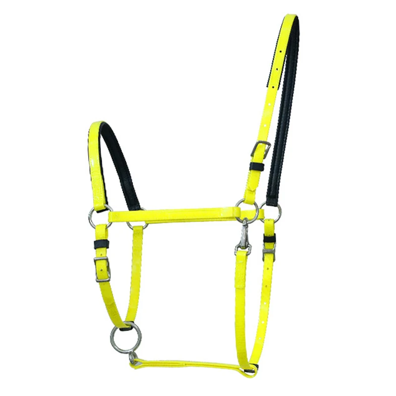 Waterproof adjustable outdoor equestrian horse products multicolor TPU material horse riding halters wholesale