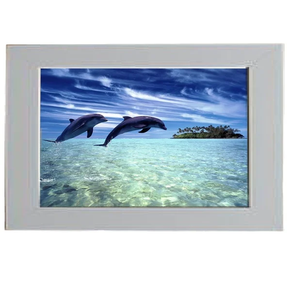 The three dimensional world gift plastic promotional 100 lpi 90 lpi 3d lenticular plastic card