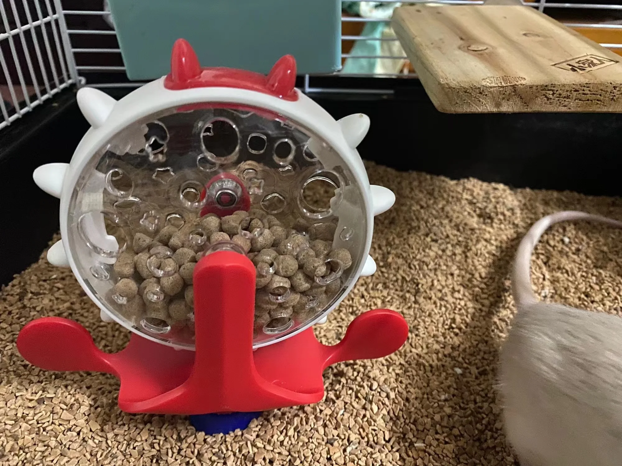 JC Funny Pet Toys Pet Dog Cat Feed Leak Windmill Spin Toy Pet Educational Toys
