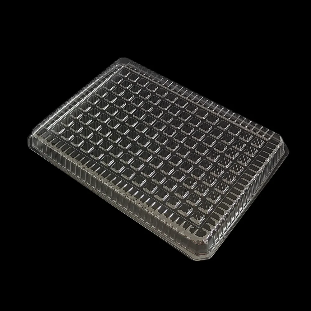 Rectangular Disposable Plastic Food Container Blister Mushroom Packaging Square Pattern Pet Packing tray