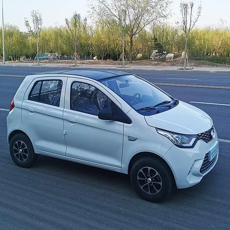 Solar panel  electric car Model S6 , optional for different motors and power