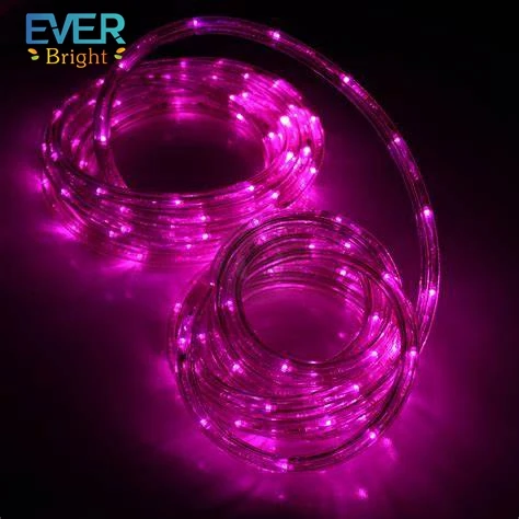 waterproof led rope light color changing 10 meters set  led 220v outdoor decoration christmas led rope light