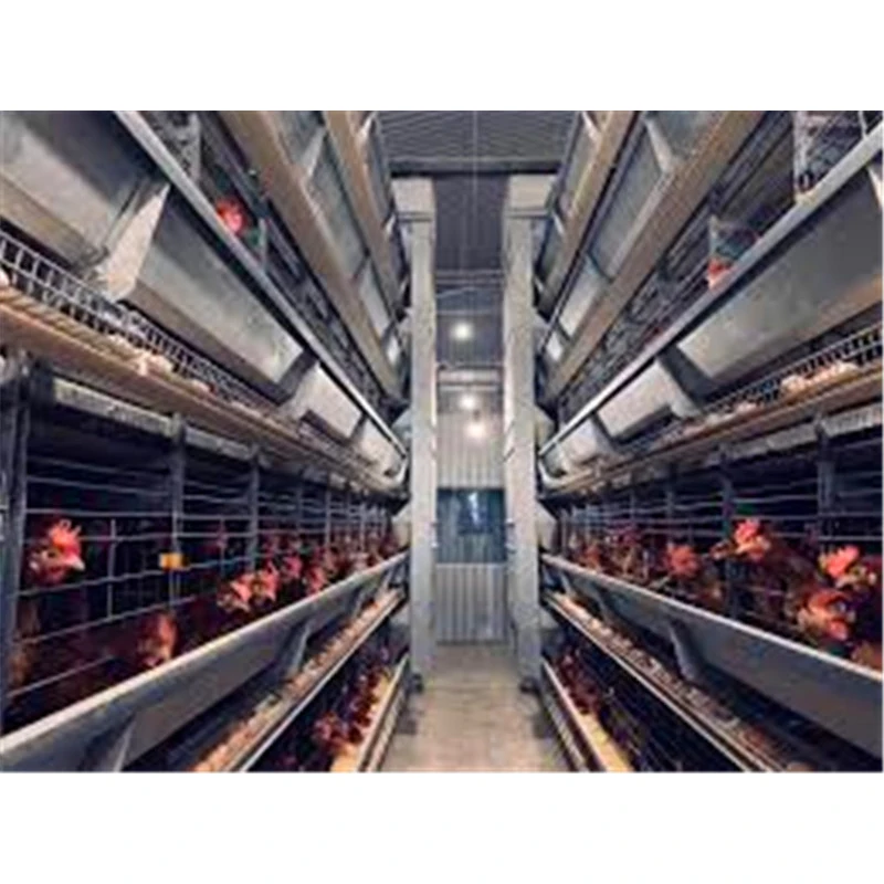 Industrial Chicken Coop House for Broiler/Layer Steel Chicken House