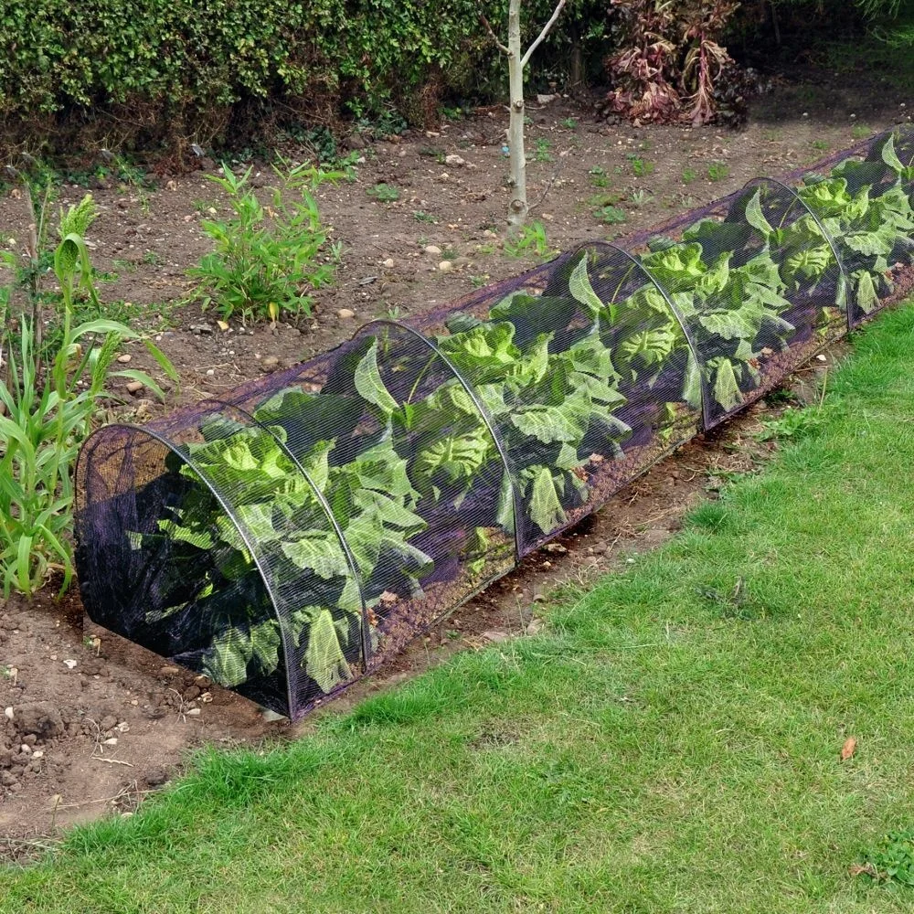Low Hoop Tunnel Greenhouse for Season Extension and Winter Garden Long Grow Propagator Poly Fleece Netting Frost Greenhouse