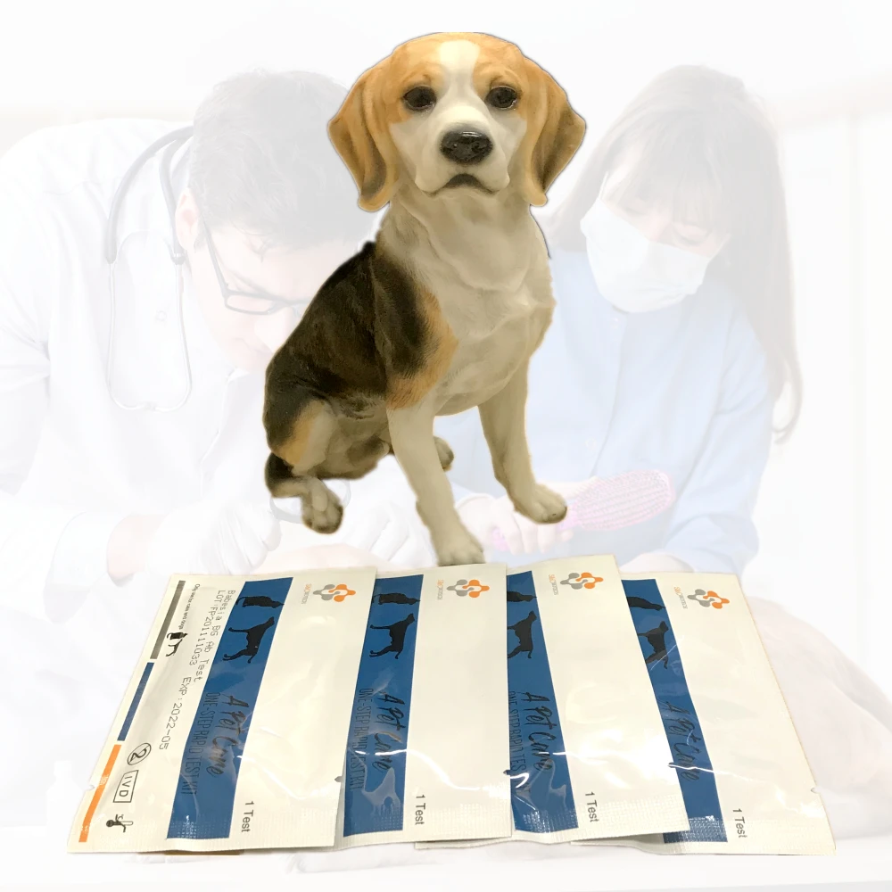 BCL Brucella Ab brucellosis pet 8 medical hospital supplies DOG/CAT disease test