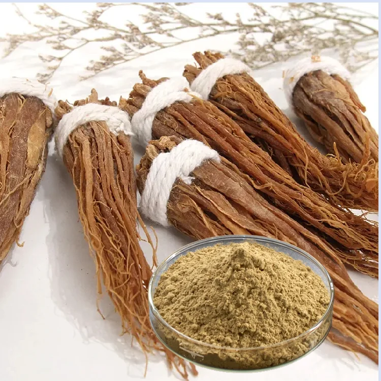 Hot Sale Korean Red Ginseng Extract Powder 31% Panax Ginseng Vacuum Packed Herbal Root and Leaf Extract for Food Supplements