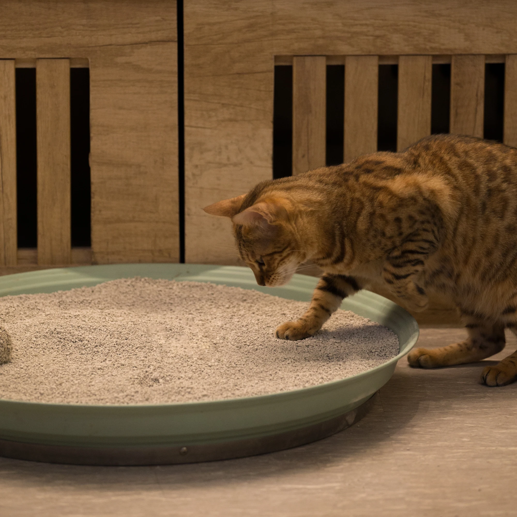 
2021 Pet products, Dust free super clumping pet sand, Nature colored bentonite cat litter 