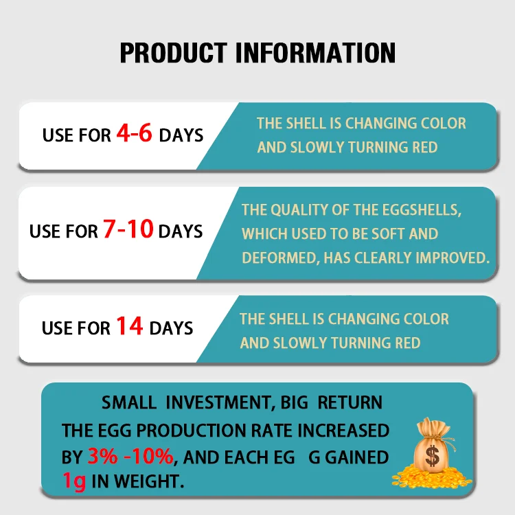 Animal Feed Additives for Increased Egg Production Enhanced Laying Hens Output for Chicken Egg Production