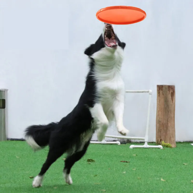 Joypet factory wholesale eco friendly luxury smart interactive pet dog training flying disc frisbeed toys