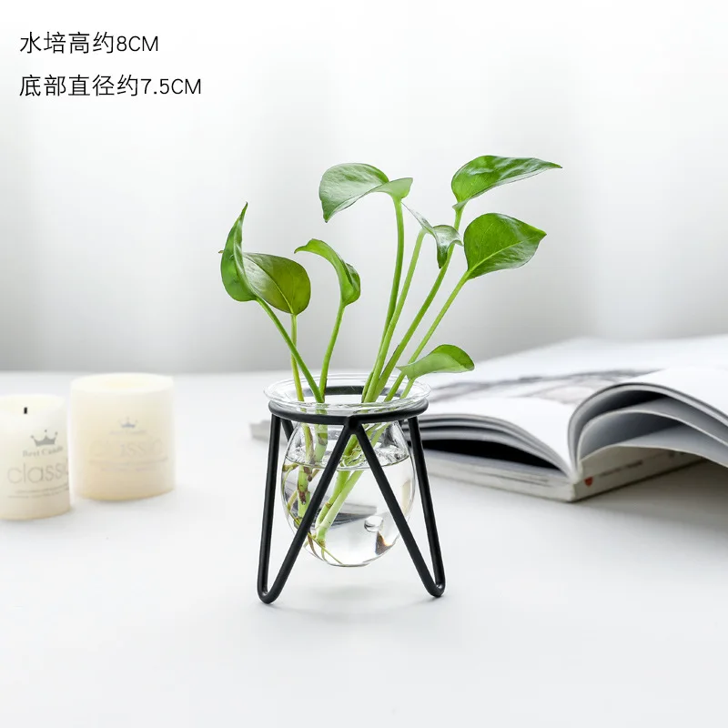 Glass Plant Terrarium Wooden Stand Plants Decoration Test Tube Vase Metal Vase Holder