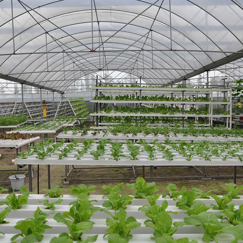 Aquaponics Growing System PVC Square NFT Pipe 100x50mm Greenhouse Hydroponics System Commercial hydroponics NFT Gully