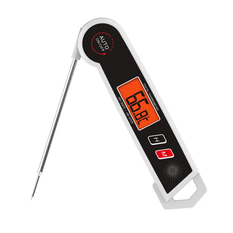 meat thermometer1.jpg